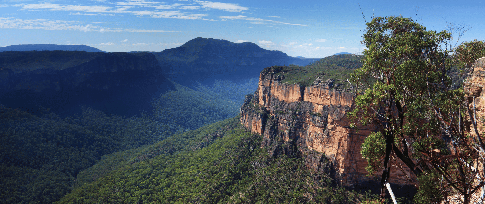 Blue Mountains